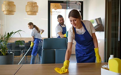 Initial/General Cleaning